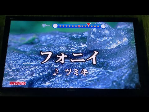 フォニイ/ツミキ【カラオケで歌ってみた】