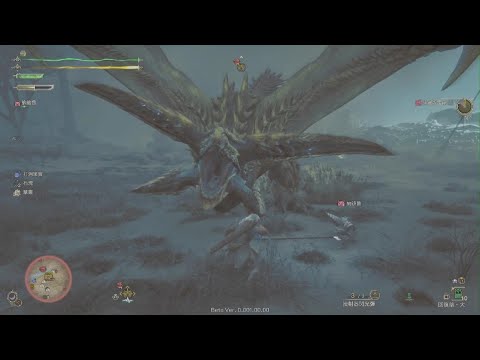 Monster Hunter Wilds 煌雷龍　異次元怒吼