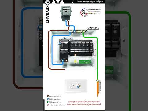 schneider consumer unit wire diagram #electrical  #howto #ไฟฟ้า #diy  #wiring