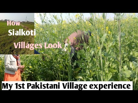 "Pakistani Village tour" My 1st   "Sialkot"Village experience|How Pakistani Villages looks in real😊