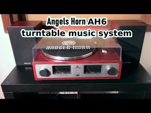 Angels Horn AH6 turntable - meets the Quant Asylum audio analyzer