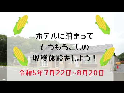 那須みやびの里 甘～い！とうもろこし収穫体験編