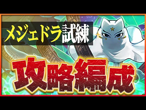 【試練ダンジョン】メジェドラ試練進化用編成！正月ノルディスで楽々クリア！【パズドラ】