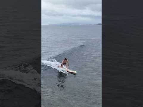 Beginner scores a good wave #surfing #wavestorm #softtop #beginnersurfer #hawaii