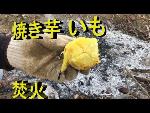 焼き芋　焚火　さつま芋