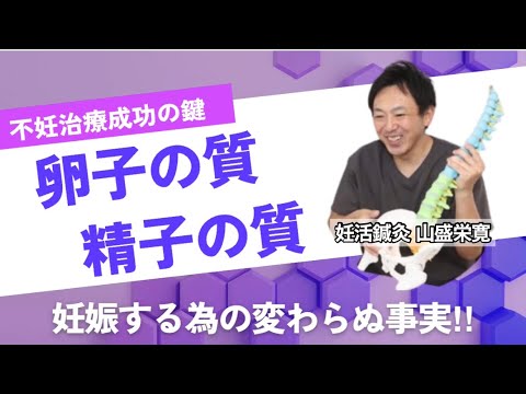 【不妊治療成功の鍵】妊娠する為の変わらぬ事実！やっぱり必要〝卵子と精子〟を高める努力