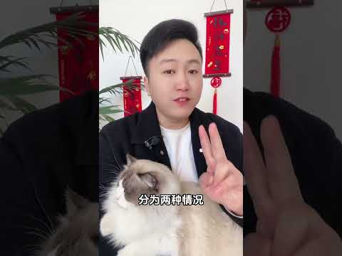 打了疫苗，小男孩还是去世了。科学养宠攻略 养猫经验分享  狂犬病毒 狂犬病毒检测卡 科学喂养