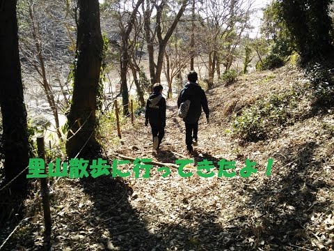 里山散歩に行ってきたよ！