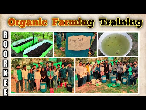 Organic Farming Training in KVC, Dehradoon by Roorkee College, Roorkee // #agriculture #training