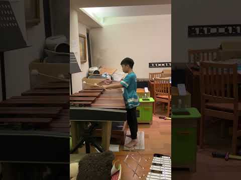 【馬林巴木琴】La Valse by Eckhard Kopetzki Two Etudes for Marimba marimba solo