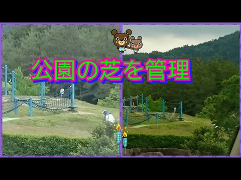 中津川公園管理してる方々が 芝管理