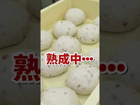 マエダのパンは全て手作り！真心込めて作ってます♪ #shorts青森県むつ市のスーパーマーケットマエダ