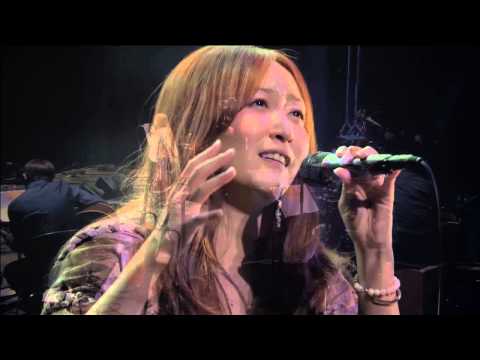 KOKIA - 夢の途中（LIVE)