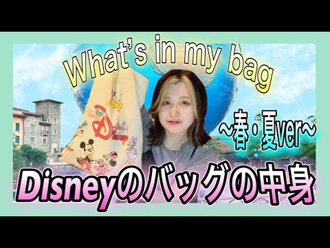 【必見】ディズニー大好ききっくのディズニーの持ち物紹介！