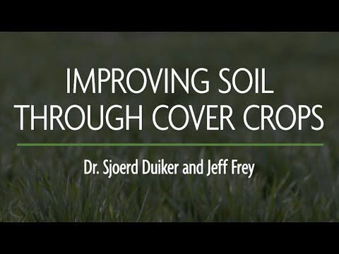 Improving Soil Through Cover Crops