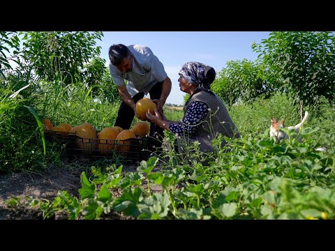 Sweet Harvest: 🍈🍉 Melon Picking and Syrup Making in the Village 🍯🌾