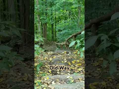 Serenade : Old Way - Lối xưa.