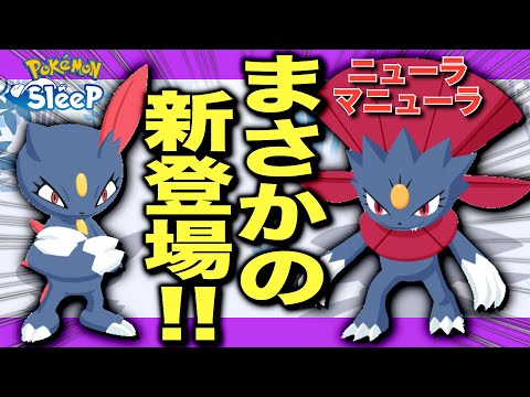 あくタイプ、何かの前兆…!? ニューラ/マニューラ考察！【ポケモンスリープ】