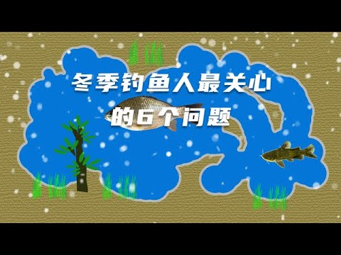 盘点冬季钓鱼时钓鱼人最关心的6个问题，要提前预防以免再犯错！