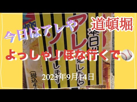 【今日はアレや！】阪神優勝！ #summer #hanshin #tigers #阪神タイガース #野球 #japan #道頓堀 #飛び込み #diving