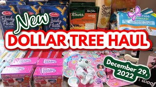 New DOLLAR TREE HAUL!  Eastern Pennsylvania Stores!  December 29, 2022 #LeighsHome