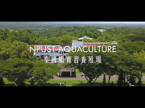 屏科大 水產養殖系| 泰國蝦實習養殖場 | #屏科大 #泰國蝦 #aquaculture #水產養殖