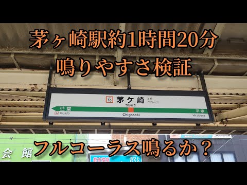 【フルコーラス鳴るか？】茅ヶ崎駅で約1時間20分鳴りやすさ検証してみた結果 第49弾