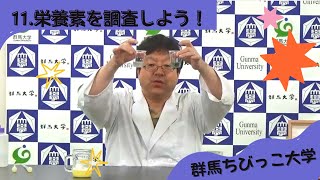 11 栄養素を検査しよう！