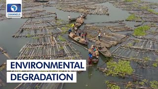 Environmental Degradation: Causes, Effects And Solutions + More | Earthfile