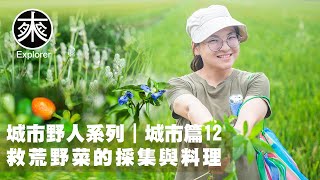 台灣野菜採集與料理12，銀花莧、水蕹菜(空心菜)、月橘(七里香)、賽葵、喜旱蓮子草、鴨蹠草(竹節菜)，環境除草劑簡易辨識法介紹，探路者城市野人｜救荒野菜-城市篇第12集