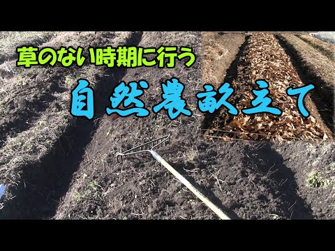 【畝立て】草のない時期の自然農畝立て