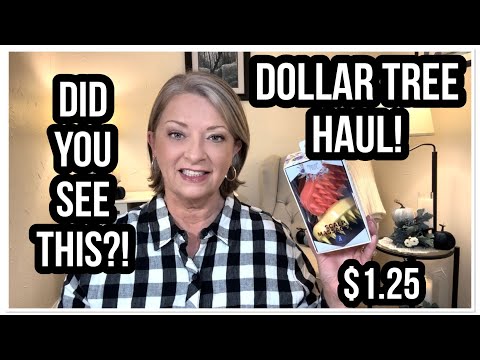 DOLLAR TREE HAUL | DID YOU SEE THIS? | WOW | NEW FINDS | THE DT NEVER DISAPPOINTS😁 #haul #dollartree