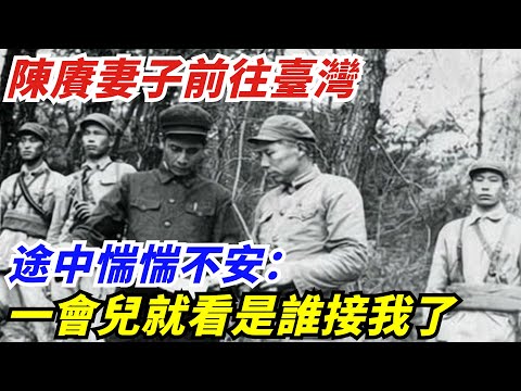 1992年，陳賡妻子前往臺灣，途中惴惴不安：一會兒就看是誰接我了【創史館】#歷史#歷史故事#歷史人物#奇聞