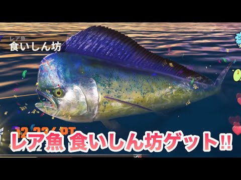 オデコ大きめなレア魚‼︎食べすぎて大きくなったのかな⁉︎釣りの達人