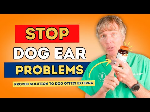 Dog Otitis Externa: Smelly, Itchy Dog Ears? See What This New Study Recommends!