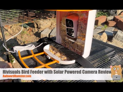 Hivisuals Bird Feeder with Solar Powered Camera Review