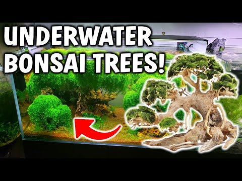 How To Create *EASY* Underwater Aquarium Trees For Your Planted Tank