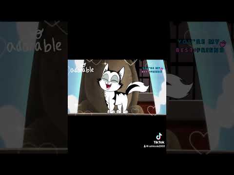 Catnicula TikTok edit