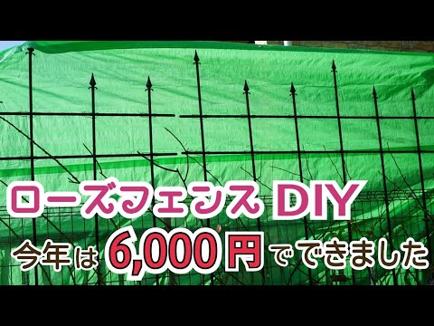 【車2台分のバラ庭】6,000円でローズフェンスをDIYしました