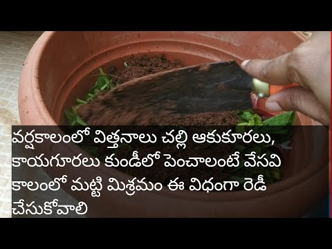 How to make compost at home with kitchen waste/chouhan q  Method FFJ /Telugudanam by Divyavarma