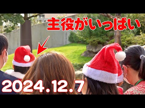 🐼【パンダ速報】小さなサンタさんからの笑顔の贈り物🎅✨🎁12月7日