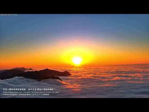 阿里山即時影像-二延平步道-縮時 | Eryanping Trail Sunset Timelapse in Alishan, Taiwan 2022-01-30