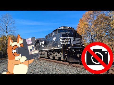 Norfolk Southern Takes out my Camera! - Railfanning FAIL