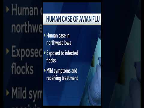 Iowa health officials confirm state's first case of avian flu in a human