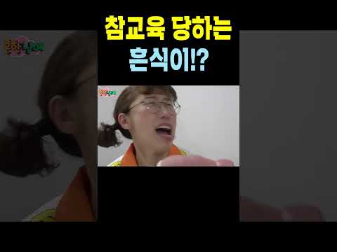 에이미 vs 흔식이