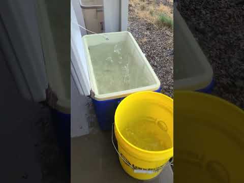 We Arizonans harvest rainwater! #rainwaterharvesting #monsoon