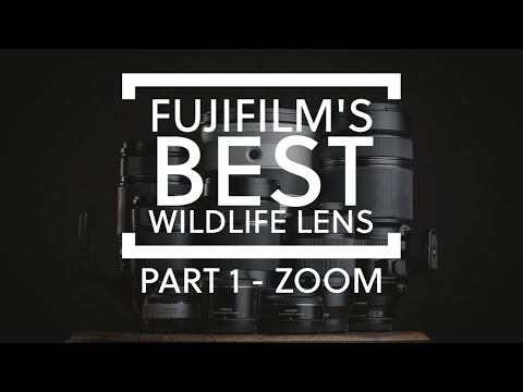 What is Fujifilms best lens for wildlife photography - PART 1 - Zoom