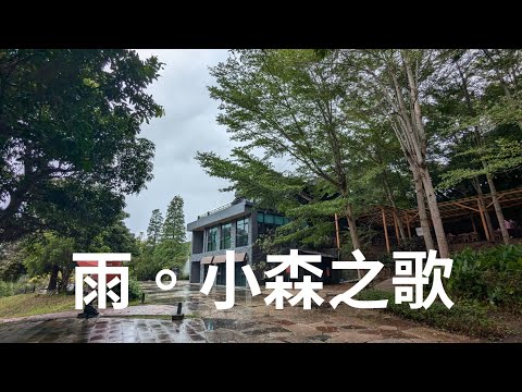 雨中的小森漫食。2024.9 | Model Y 趣哪裡(110)