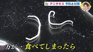 アニサキス、実はこれからの時期にこそ注意が必要　経験者・専門家・料理人に聞くと…