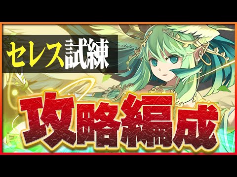 【試練ダンジョン】セレス試練進化用編成！ノルディスループで簡単攻略！【パズドラ】